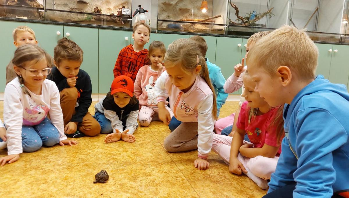 SVČ Amos - výukový program zvířata