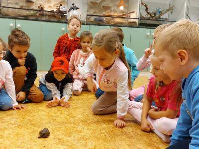 SVČ Amos - výukový program zvířata
