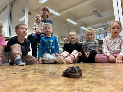 Veverky v Amosu u zvířátek