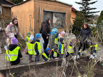 ŽABIČKY V ZAHRADNICTVÍ