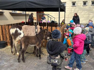ŽABIČKY NA VELIKONOČNÍM JARMARKU