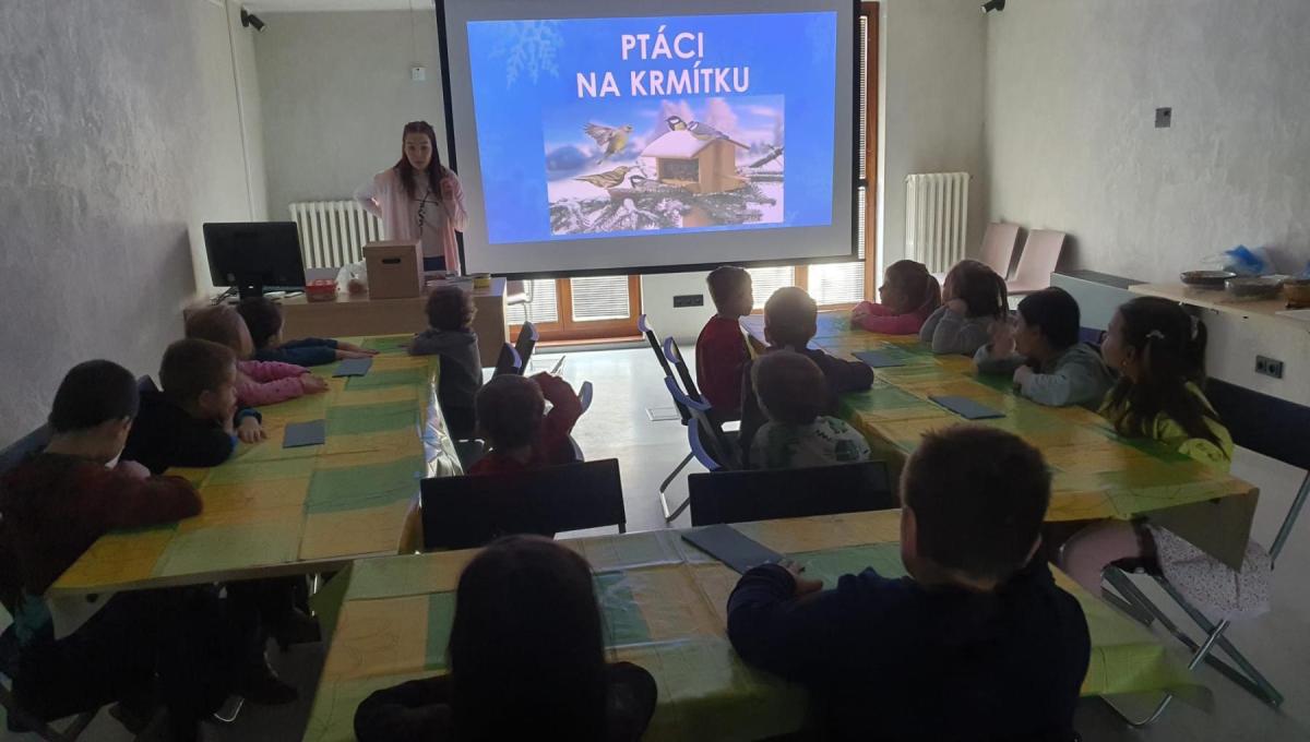 VÝCHOVNĚ VZDĚLÁVACÍ PROGRAM MUZEA TĚŠÍNSKA - "Ptáci v zimě"